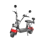 Электроскутер CityCoco Skyboard BR30-3000 (Don)