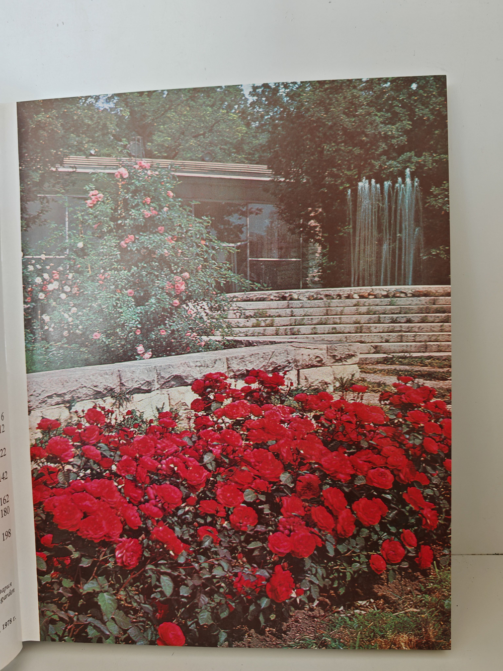 Розарий Главного ботанического сада Академии наук СССР