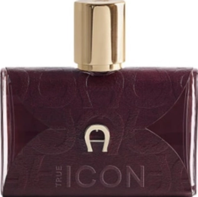 AIGNER TRUE ICON EDP 100 ML
