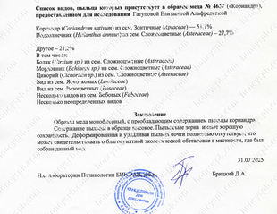 Кориандр. Пыльцевой анализ 2025