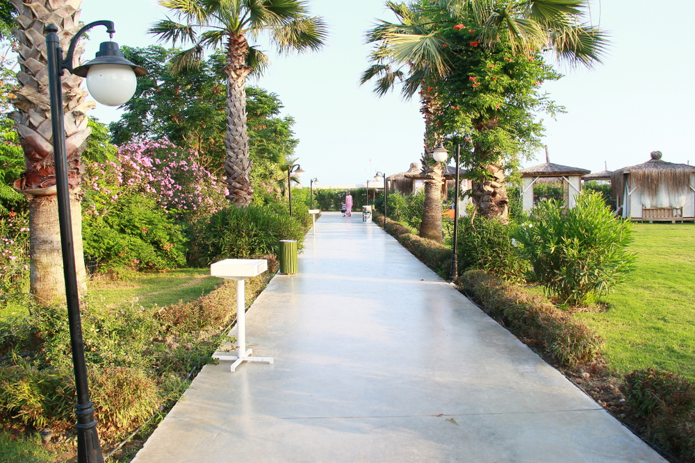 Фотобумага сатин Premium