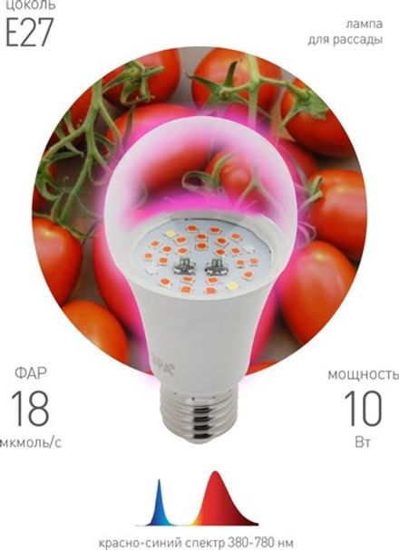 Фитолампа для растений светодиодная ЭРА FITO-10W-RB-E27 красно-синего спектра 10 ВТ Е27