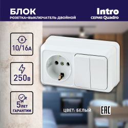 Блок розетка с выключателем Intro Quadro 2-702-01 двойным горизонтальный 10А-250В, IP20, ОУ, белый