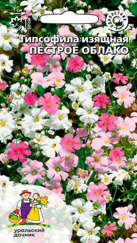 Гипсофила "G. Пестрое Облако" 0,1г., Россия.