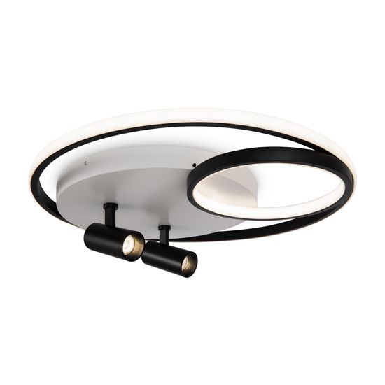 Потолочный светильник Freya FR6083CL-L90WB