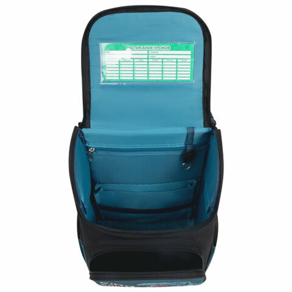 Ранец ПИФАГОР BASIC, 1 отделение, 3 кармана, эргономичная спинка, "Dino world", 35х28х18 см, 272046