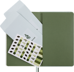 Блокнот Moleskine LE YEAR OF THЕ SNAKE 130х210 мм 176 стр линейка мятный Mamba (LECNYSNKVEGMBOX)