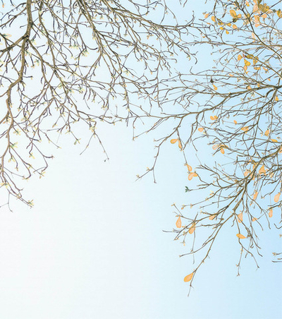 Дизайнерские обои Wall Street Vetve