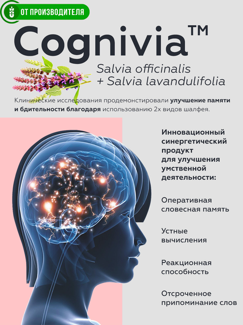 Напиток "Эрудит" с клубникой (для памяти), 2 г х 14 саше / Сибирская клетчатка