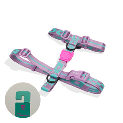 Шлейка AURA Zee.Dog (повреждена упаковка)