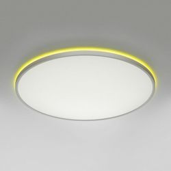 Накладной светильник Citilux NORMA CL749600