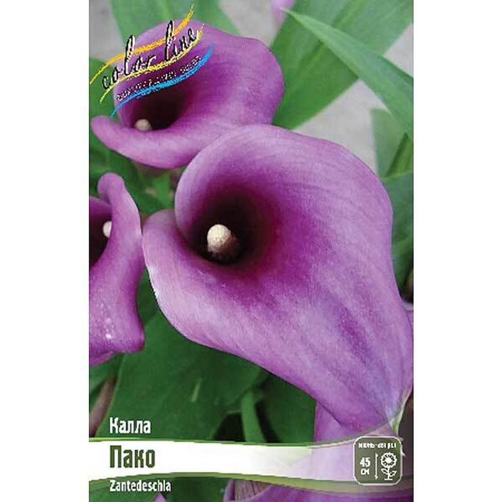 Калла Пако