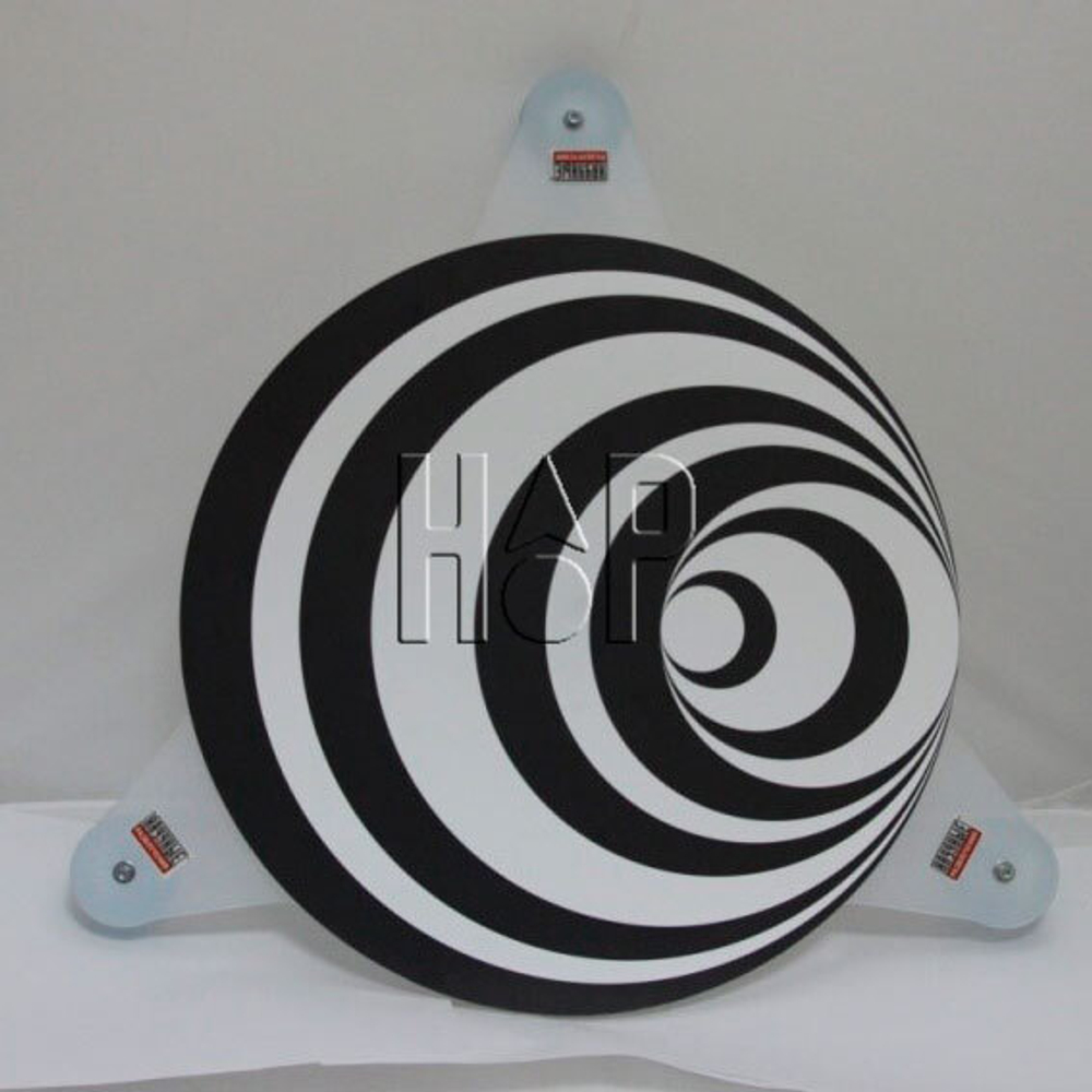 Учебный экспонат Волчки Кюхельхауза (Муар Эффект)