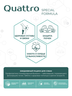 Корм для собак средних и крупных пород SF Renal Shield, (гломерулярная болезнь), 3 кг, QUATTRO