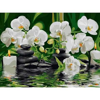 Картина по номерам «Орхидеи» EX5261