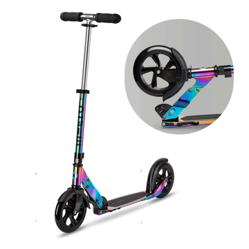 Самокат Micro Classic неохром