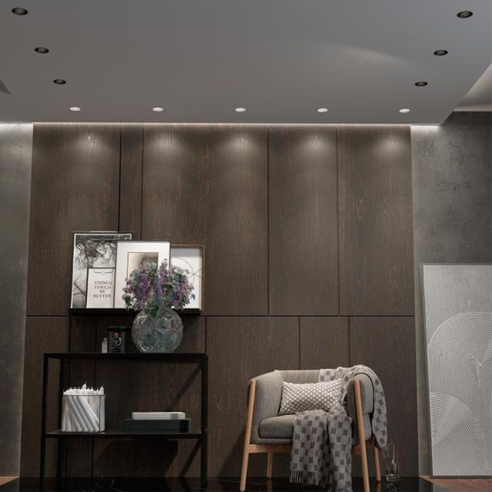 358906 SPOT NT22 442 белый Встраиваемый светодиодный светильник с переключателем цветовой температуры IP20 LED 3000К\4000К\6000К 7W 220V LANG