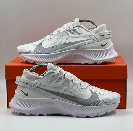 Nike Pegasus Trail 2