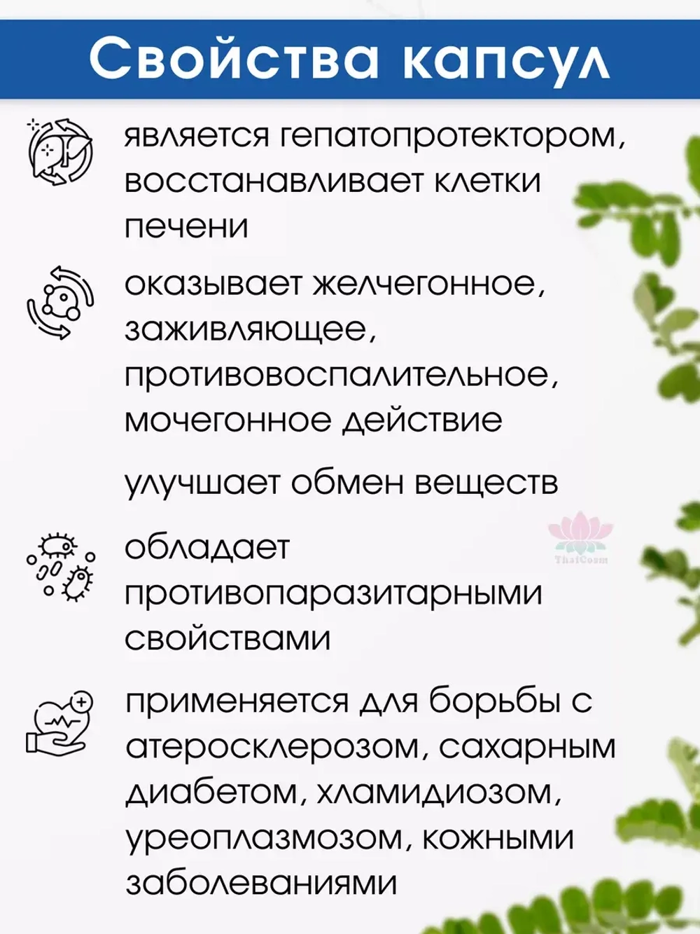 Капсулы Лук Тай Бай Номер 1 для печени и желчного