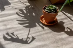 Vinilam Click Дуб Ален, 3,09 м²