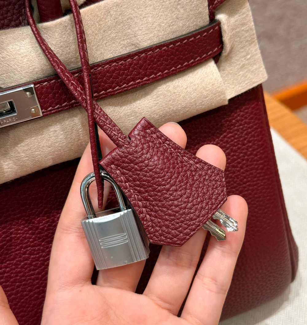 Hermes Birkin 25