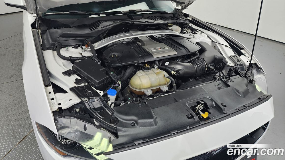 Ford Mustang GT Coupe (12.2020)
