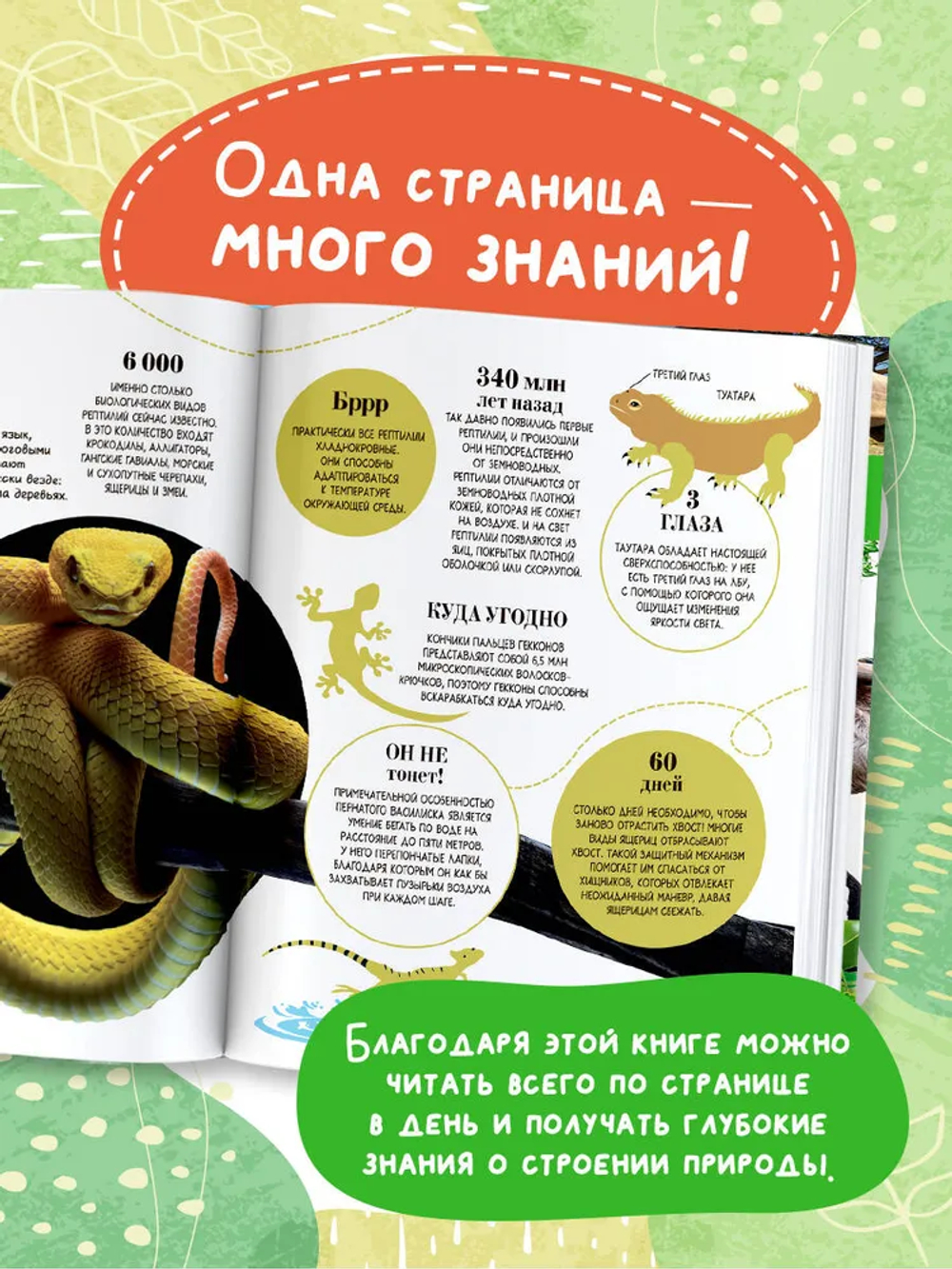 100 тысяч почему на каждый день. Природа