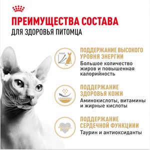 Сухой корм Royal Canin Sphynx Adult для взрослых кошек породы Сфинкс от 12 месяцев