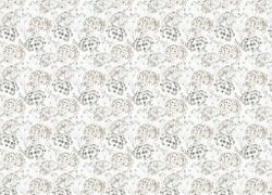 Gloockler Pompoos Provence