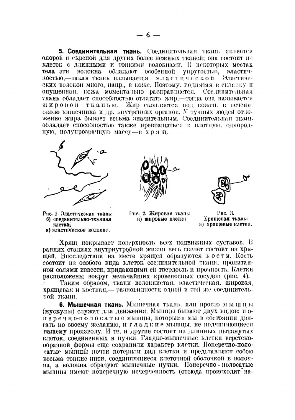 Практическое руководство по судебной медицине | Лейбович Яков Львович