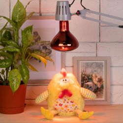 Инфракрасная лампа ЭРА ИКЗК 220-250 R127 для обогрева животных 250 Вт Е27