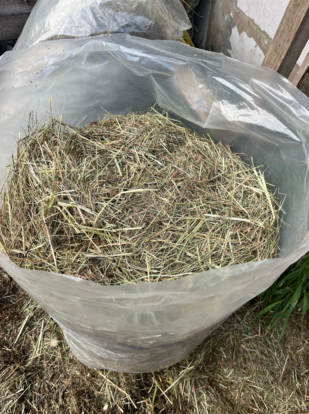 Сено луговое разнотравье 17 кг в пакете Самовывоз Софийская 93Д