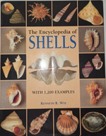 Книга encyclopedia of shells, Б/У
