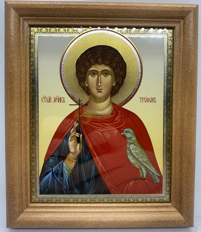 Трифон Апамейский