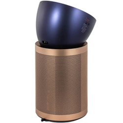 Очиститель воздуха Dyson Purifier Big+Quiet Formaldehyde BP04 (410622-01)