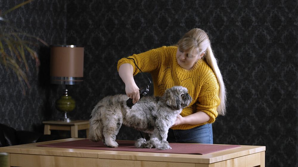 Машинка для стрижки животных Moser Max45 (1245-0077) - 11