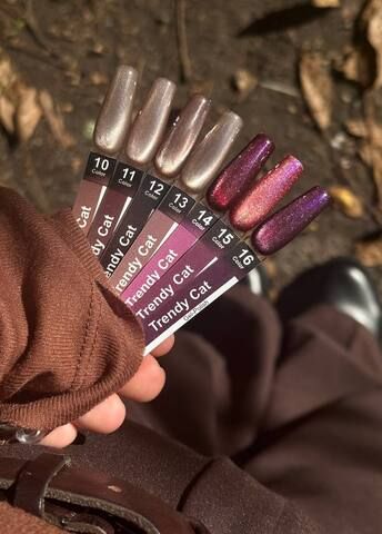 TRENDY CAT гель лак кошачий глаз 15