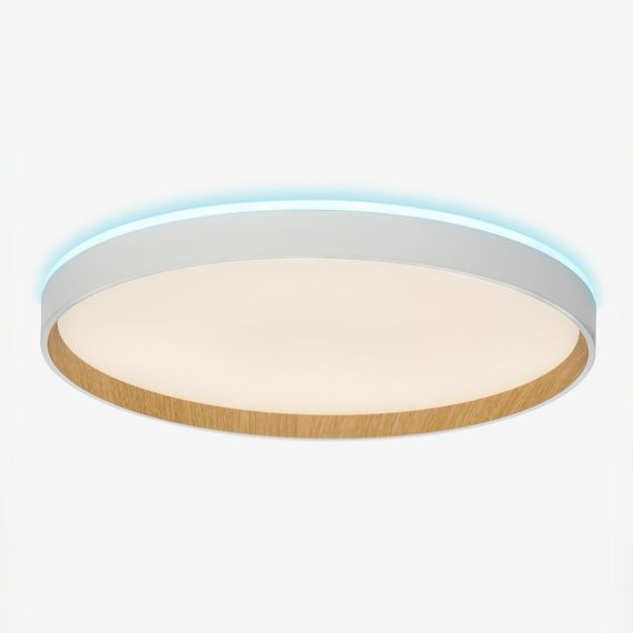 Потолочный светодиодный светильник Citilux Etalon CL750400R