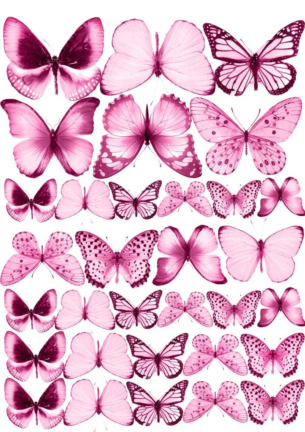 3c2b462f-d40c-4d29-bb08-3126addc517c