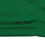 Баскетбольная мужская джерси Nike Dri-FIT NBA Swingman Boston Celtics Icon Edition 2022/23 Jaylen Brown