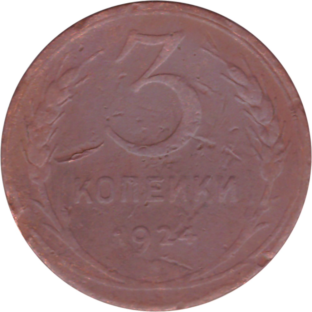 3 копейки 1924 года VG №3