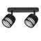 Спот Arte Lamp ATRIA A8031PL-2BK
