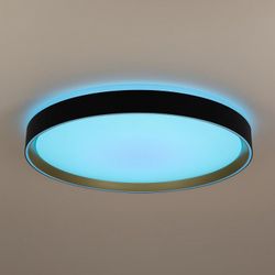 Накладной светильник Citilux BOSS CL751451G