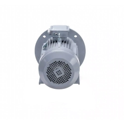 Электродвигатель ESQ PR 100 S4 GST-Б1-S12-IE2 3/1500 IM2081