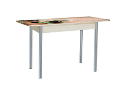 Нью йорк фотопечать стол обеденный раздвижной со стеклянной поверхностью / маслины/дуб молочный/металлик 900*600 (1200)