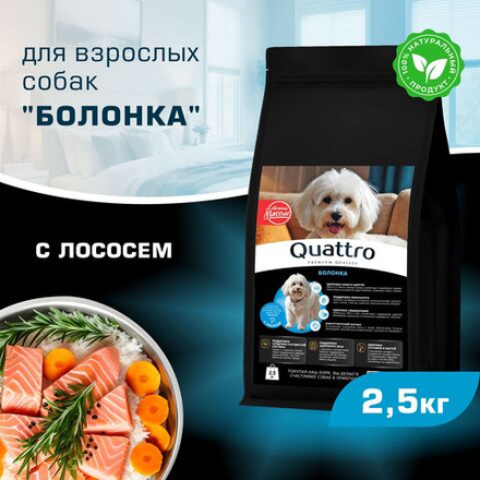 Корм сухой для взрослых собак породы Болонка, с лососем, 2,5 кг, QUATTRO