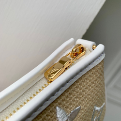 Louis Vuitton Mini Pochette Accessoires