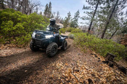 Квадроцикл KAWASAKI Brute Force 750 EPS (2024) (ПСМ)