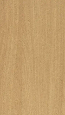 ЛДСП Мебельная деталь 400*530 мм цвет Бук 16 мм