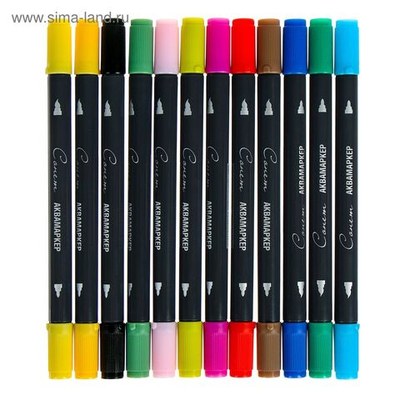 Набор художественных маркеров Сонет , 12 цветов, водная основа, двусторонний: пулевидная/кисть, основные цвета, 150411173